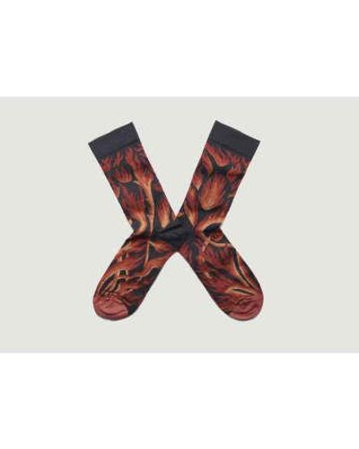 Bonne Maison Feu nuit pattern socks - Marron