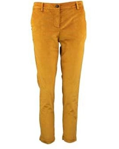 White Sand Sands Curry Andrei Pants - Giallo