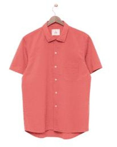 La Paz Panama Shirt - Pink