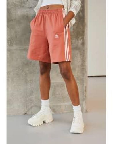adidas Coral Adicolor Classics Bermuda Shorts - Pink