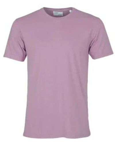 COLORFUL STANDARD T-shirt organique classique violet nacré