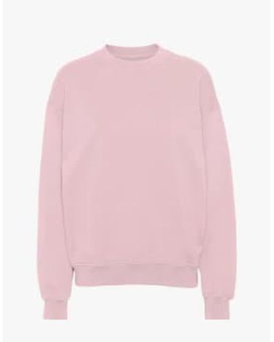 COLORFUL STANDARD Organic Oversized Crew Faded / Xs - Pink