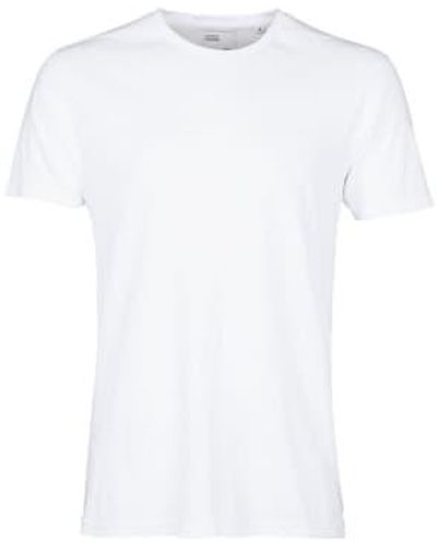 COLORFUL STANDARD Cs1001 t-shirt organique blanc classique blanc optique