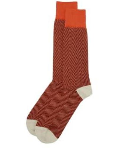 Peper Harow Chevron Design Cotton Socks Uk 6-13 - Brown