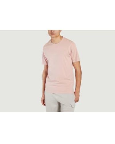 C.P. Company Camiseta Jersey 24/1 - Rosa