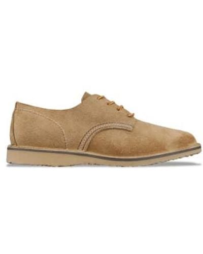 Red Wing Wing Shoes 3302 Weekender Oxford Shoe Hawthorne Muleskin Leather - Marrone