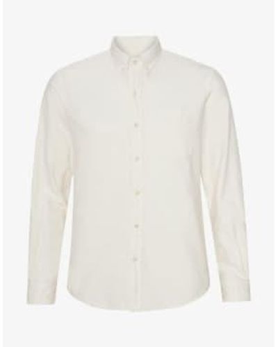 COLORFUL STANDARD Chemise Organic Button Down Ivory - White
