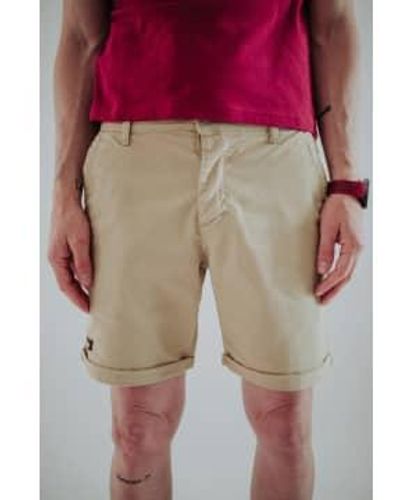 Loco Bermuda Chino Shorts - Pink