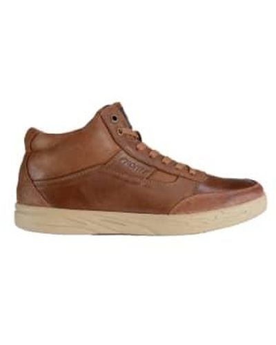Front Rocky Leather Hi Trainers - Marrone