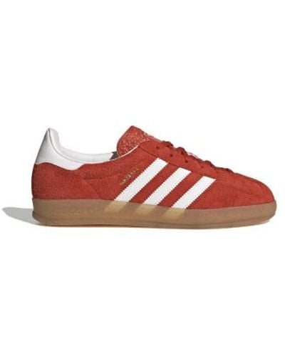 adidas Gazelle Indoor Bold And Cloud White - Rosso