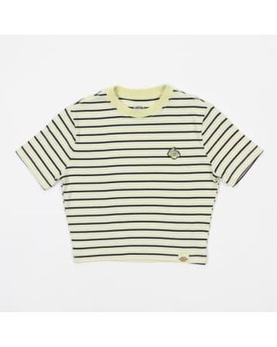 Dickies Womens Altoona Striped T Shirt In Pale - Metallizzato
