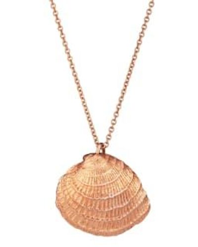 Posh Totty Designs Gold Plated Clam Shell Necklace Gold Plated Gold/gold - Metallic