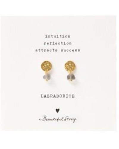 A Beautiful Story Aw30804 Mini Coin Labradorite Gp Earrings - Bianco