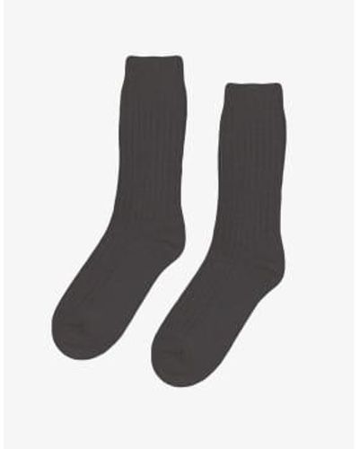 COLORFUL STANDARD Cs6003 Merino Blend Socks Lava Grey - Marrone