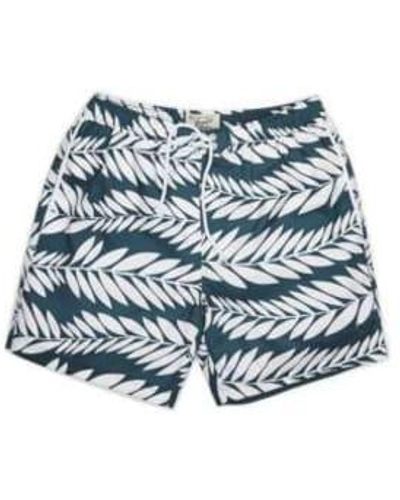 Original Penguin Palm-Druck-elastischer Volley-Swim-kurze Mediterranea - Blau