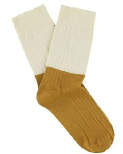 Escuyer Ecru Senf Block Socken - Mehrfarbig