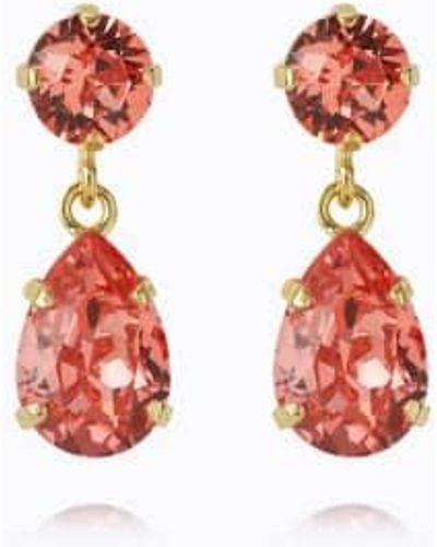 Caroline Svedbom Mini Drop Earrings In Rose Peach - Rosso