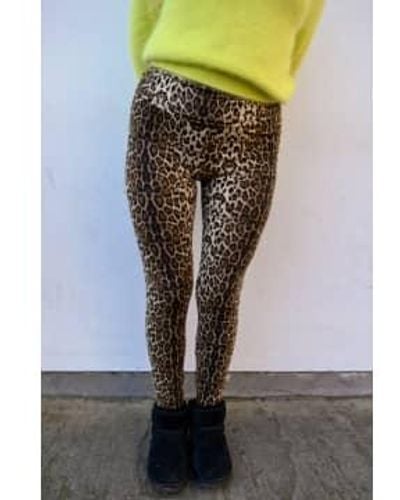 Lolly's Laundry Dolly Leopard leggings S - Multicolour