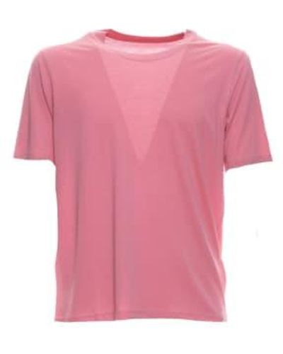 Majestic Filatures T-shirt M296-hts216 594 L / Rosa - Pink