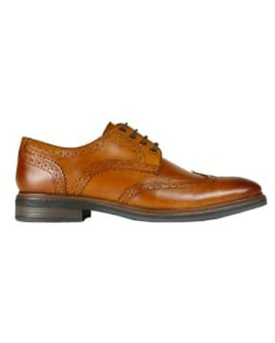 Front Morrison Leather Derby Brogues - Marrone