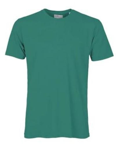 COLORFUL STANDARD Camiseta orgánica clásica pino ver - Verde