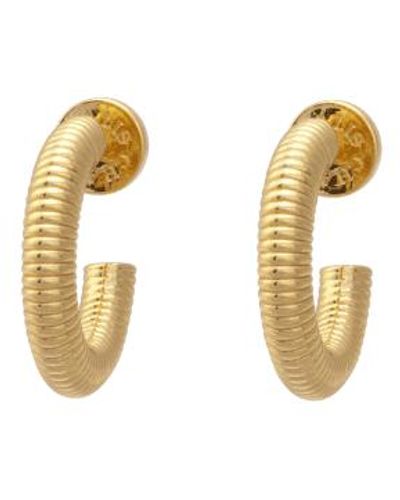 Talis Chains Ridge Hoop Earrings Plated - Metallic