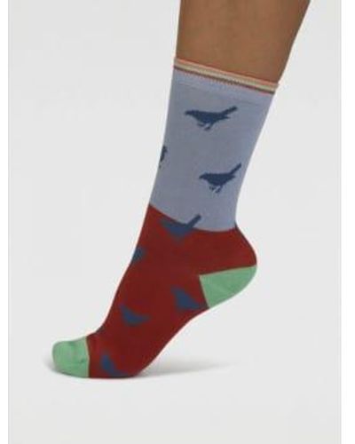 Thought Spw881 Birdie Color Block Bamboo Socks - Blue