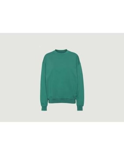COLORFUL STANDARD Oversized Organic Cotton Sweatshirt 2 - Verde