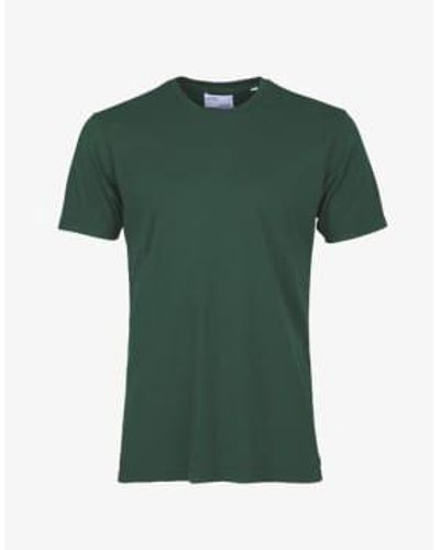 COLORFUL STANDARD T Shirt Classic Organic Emerald - Verde