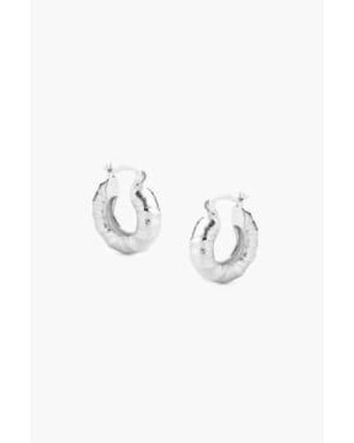 Tutti & Co Ea591s Reef Earrings - White