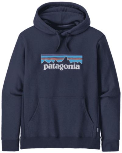 Patagonia Hoodies for Men | Online Sale up to 20% off | Lyst UK