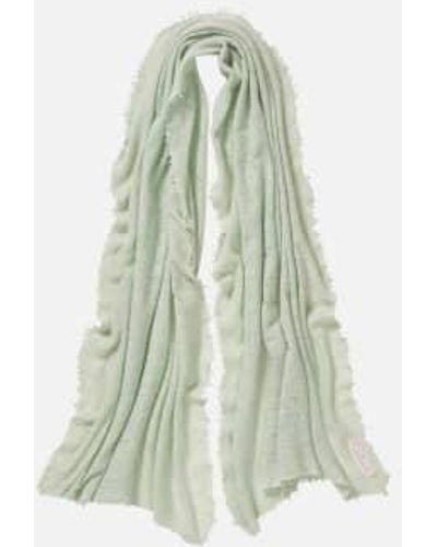 PUR SCHOEN Hand Felted Cashmere Soft Scarf Powder Reed /schilf + Gift - Green