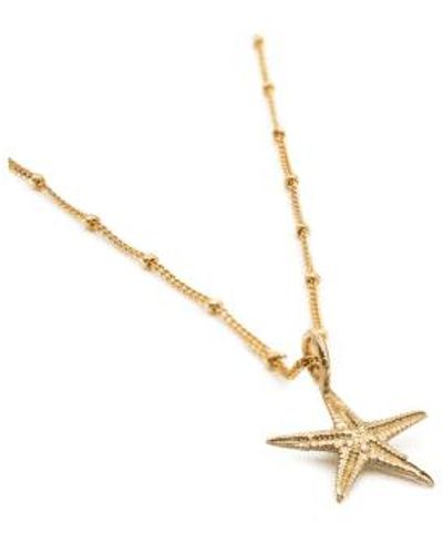 Dainty London Collar estrellas estrellas oro sólido - Metálico