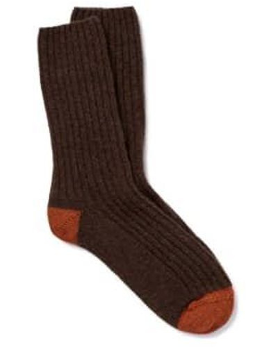 Royalties Benjamin Choco Socks 40-45 / - Brown