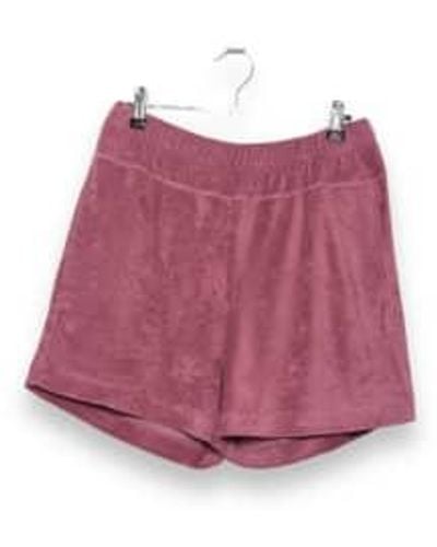 Howlin' Towel Shorts Uni Cherry M - Purple