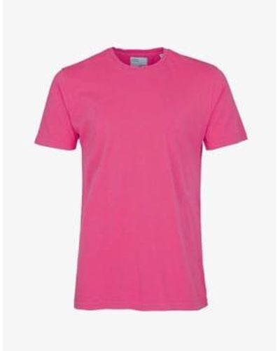COLORFUL STANDARD T Shirt Classic Organic Cs1001 Bubble Gum - Rosa