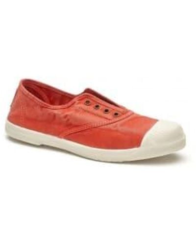 Natural World Red Old Lavanda Trainers 36