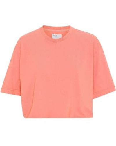 COLORFUL STANDARD Bright Organic Boxy Crop T Shirt - Rosa