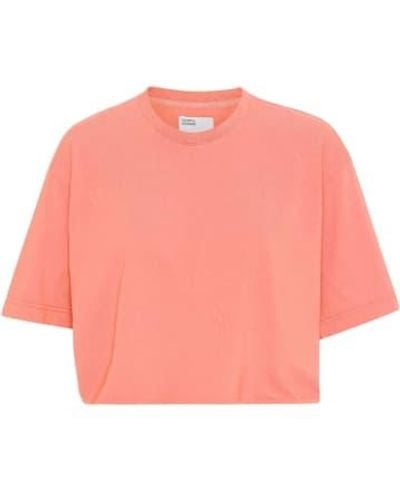 COLORFUL STANDARD Bright Coral Organic Boxy Crop T-shirt - Pink