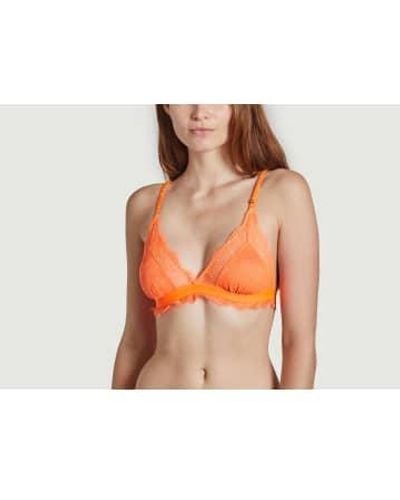 Love Stories Love Lacy Bralette - Orange