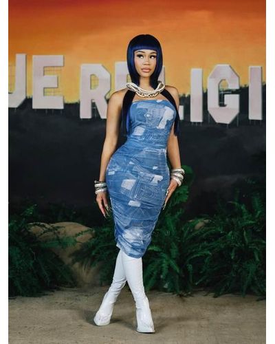 True Religion Jean Graphic Ruched Mesh Midi Dress - Blue