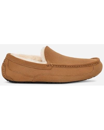UGG Chausson Ascot pour homme | UE in Brown, Taille 41, Cuir - Marron