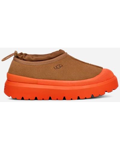 Ugg Cottage Clog 1143834 - Bootery Boutique