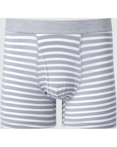 Uniqlo Calzoncillo Bóxer Algodón Rayas - Azul