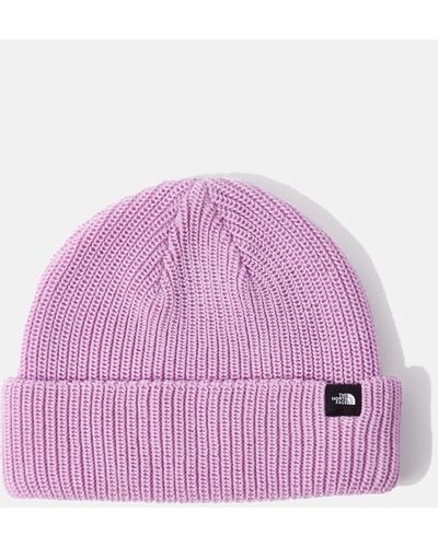 The North Face Tnf Fisherman Beanie Hat - Purple