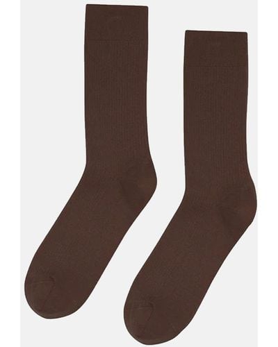 COLORFUL STANDARD Classic Organic Sock - Brown