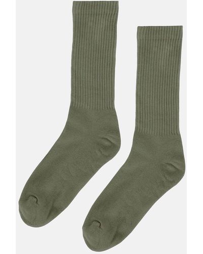 COLORFUL STANDARD Active (organic) Sock - Green