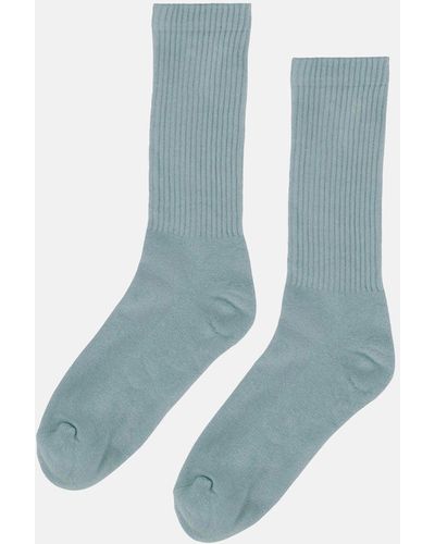 COLORFUL STANDARD Active (organic) Sock - Blue