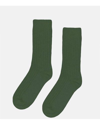 COLORFUL STANDARD Blend Socks (merino Wool) - Green