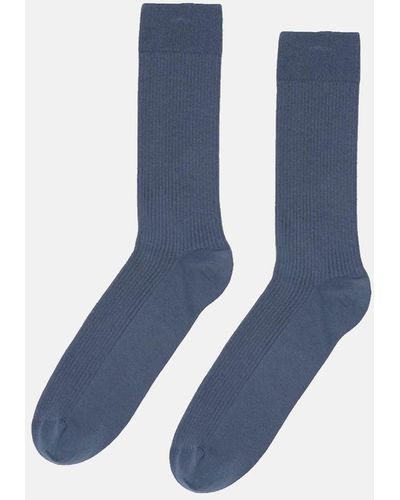 COLORFUL STANDARD Classic Organic Sock - Blue